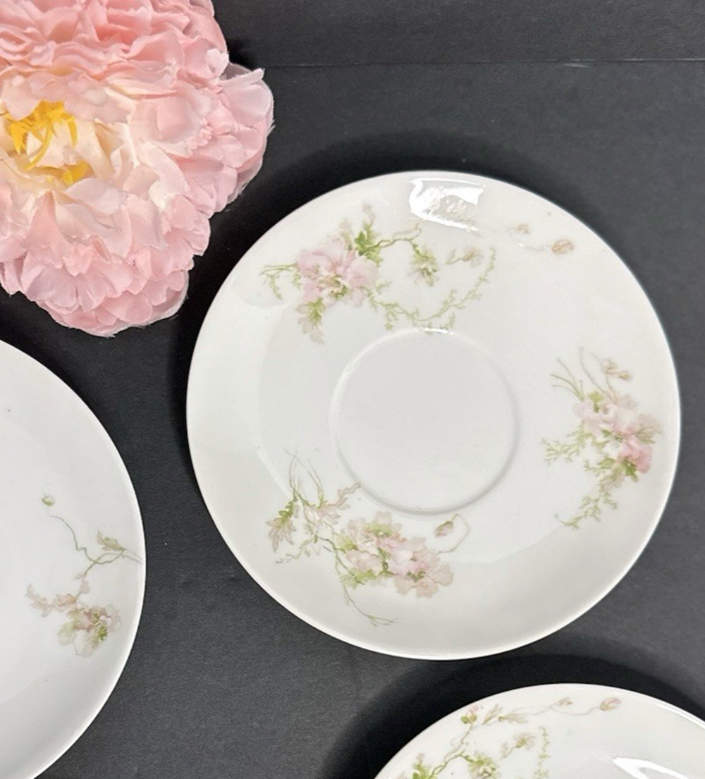 GDA Charles Field Haviland Limoges France Pink Poppies Schleiger 377 5.5" Saucer